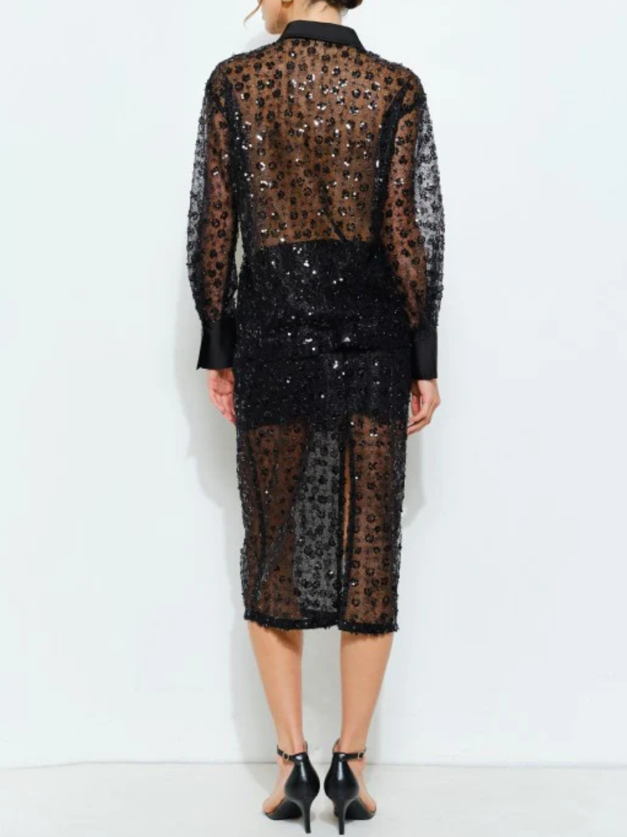 Sequin Sheer Blouse and Midi Skirt Set