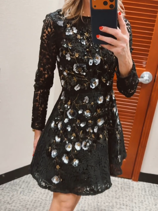 Lace Floral Embroidered Mini Dress
