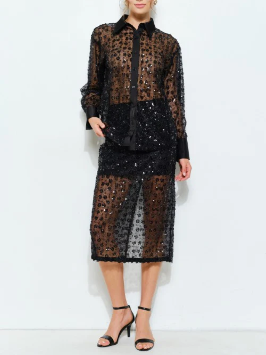 Sequin Sheer Blouse and Midi Skirt Set