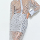 Sequin Sheer Blouse and Midi Skirt Set