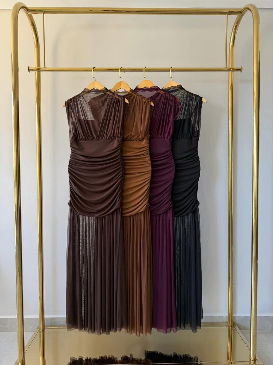 Elegant Sheer Mesh Ruched Dress