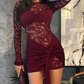 Lace Hollow Hip Dress