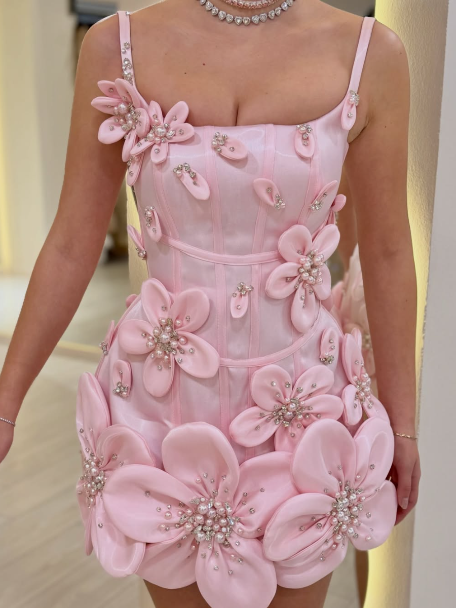 3D Floral Applique Beaded Mini Dress